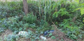 Mollet en Comú demana a l’Ajuntament que reclami a ADIF un bon manteniment de l’R3 al seu pas per la ciutat