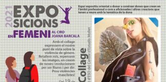 Exposicions i altres activitats per erradicar la violència contra la dona