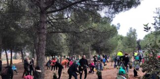 Centenars de persones participen a la Festa de l’Arbre i la biodiversitat al parc dels Pinetons