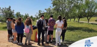 Recullen quatre tones de residus al parc dels Pinetons i a Gallecs