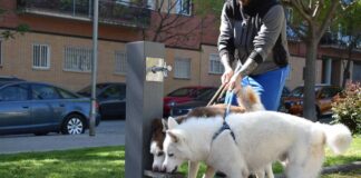 L’Ajuntament de Mollet instal·la tres noves fonts duals a la ciutat