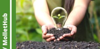 Mollet Hub i l’Ateneu Cooperatiu del Vallès Oriental organitzen un curs sobre Cooperativisme i Economia Social i Solidària