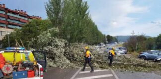La tempesta a Mollet va provocar una quarentena d’incidències, entre elles caiguda d’arbres i inundacions