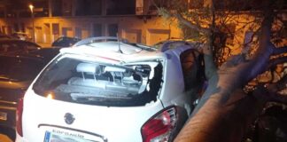 La caiguda d’un arbre provoca danys a vehicles en el barri de Can Pantiquet