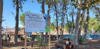 El pati de l’Escola Joan Salvat Papasseit acull un refugi bioclimàtic