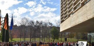 Mollet es prepara per viure amb moltes activitats el Dia Internacional per l’Eliminació de la Violència vers les dones