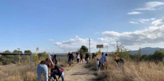 Acord per plantar 1.700 arbres i arbustos al camí de vianants paral·lel a l’autopista