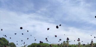 Anul·len les multes a mig centenar de familiars de Mossos que van ser sancionats per error