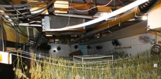 Els Mossos detenen dos homes a Mollet i troben una nau on cultivaven marihuana a escala industrial