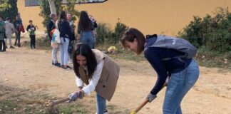 Planten 650 arbres i arbustos a prop de l’AP-7 per frenar la contaminació acústica