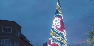 L’encesa de l’arbre de la plaça Catalunya dona el tret de sortida a les Festes de Nadal a Mollet