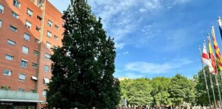 Concentració davant de l’Ajuntament per demanar a Educació que no tanquin el SIEI de l’escola Federico García Lorca