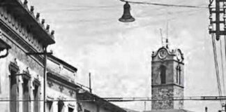 Festa dels avis