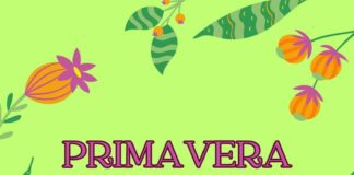 Arrenquen els tallers i les activitats del programa Primavera Jove