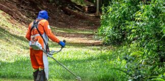 Mollet requereix als propietaris de 25 solars perquè els netegin