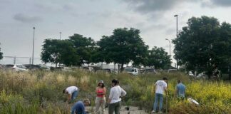 Els treballadors de Merck celebren el Dia Mundial del Medi Ambient amb una acció de neteja i renaturalització a Can Magarola