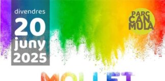 Mollet commemora el Dia Internacional de l’Orgull LGTBI+