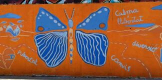 Rècord de participació als tallers de l’Estiu Jove