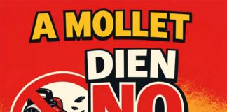 S’inicia a Mollet una campanya contra l’ús de bufadors en la neteja viària