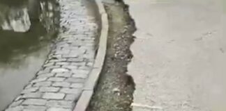 MolletOpina alerta del deteriorament de diversos parcs i reclama un pla urgent de manteniment