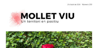 Llibres, roses i mil plans: el Sant Jordi on el més difícil serà triar