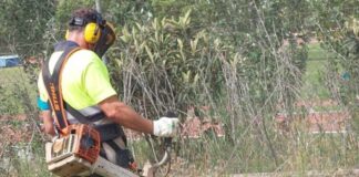 Mollet requereix la neteja de solars a una tretzena de propietaris