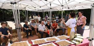 Mollet reivindica el seu llegat agrícola amb la segona Festa de l’Espiga